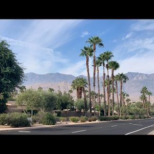 Meet your Posher, Salam